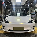 Vehicle Paint Protection